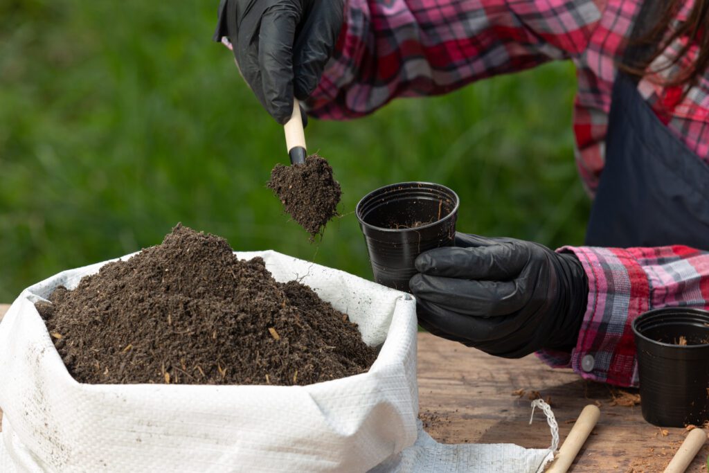 best bagged soil for vegetable garden