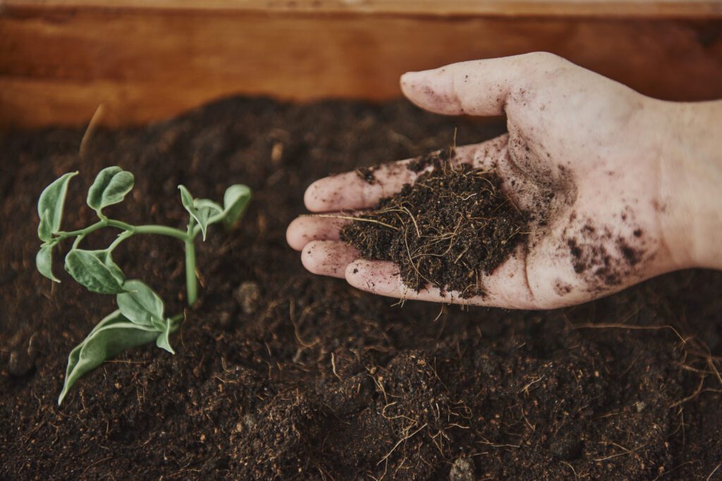 best soil for vegetable garden