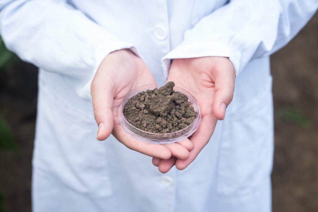 test your soil